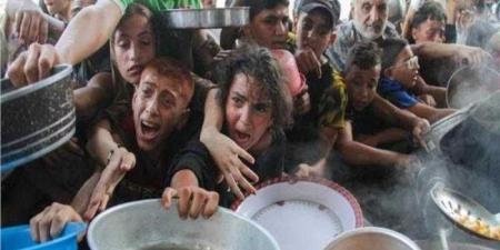 مصر تعرب عن بالغ قلقها من التقارير حول حالة المجاعة في قطاع غزة - هرم مصر