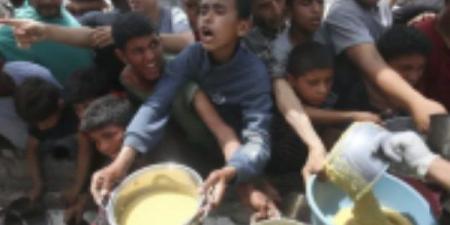أول تعليق من السفير الأمريكي لدى تل أبيب على تقرير الأمم المتحدة بشأن المجاعة في غزة - هرم مصر