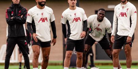 ليفربول في ضيافة نيوكاسل اليوم - هرم مصر