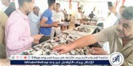 أسعار السمك اليوم الأحد 24-8-2025 في الدقهلية - هرم مصر