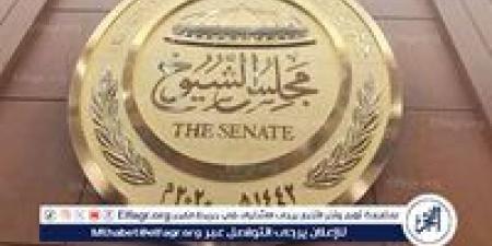 هل يجوز الجمع بين عضوية مجلس الشيوخ والوظائف الحكومية؟.. القانون يوضح - هرم مصر