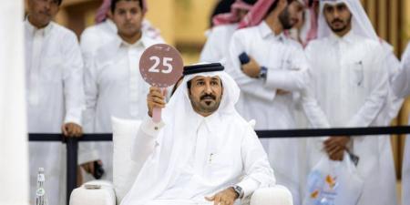 بيع أغلى صقر في المزاد الدولي لمزارع إنتاج الصقور 2025 بـ 1.2 مليون ريال - هرم مصر
