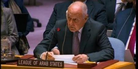 أبو الغيط يرحب بخارطة الطريق الأممية لتوحيد المؤسسات وإجراء الانتخابات فى ليبيا - هرم مصر