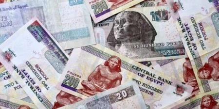 بعائد شهري 19.50%.. شهادات الادخار في ميد بنك - هرم مصر
