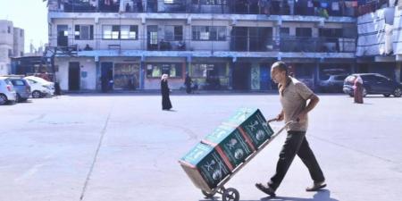 الملك سلمان للإغاثة يواصل توزيع المساعدات الغذائية في قطاع غزة - هرم مصر