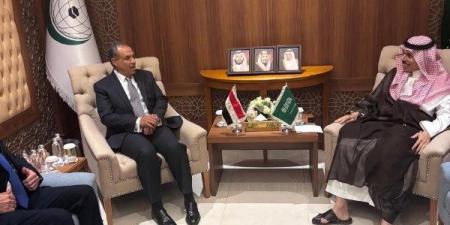 وزيرا خارجية مصر والسعودية يؤكدان الشراكة الاستراتيجية والتنسيق إزاء القضايا الإقليمية - هرم مصر