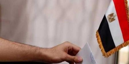 انطلاق جولة إعادة انتخابات الشيوخ للمصريين بالخارج.. تفاصيل - هرم مصر