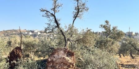 3 أيام عجاف.. أهالي قرية المغير بالضفة يتحدثون عن انتهاكات جيش الاحتلال - هرم مصر