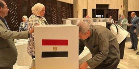 سفارات مصر بالخارج تواصل فتح أبوابها للناخبين للتصويت بجولة الإعادة بانتخابات مجلس الشيوخ في الخارج - هرم مصر