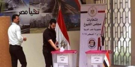 انتهاء تصويت المصريين في الأردن بجولة الإعادة لانتخابات مجلس الشيوخ 2025 - هرم مصر