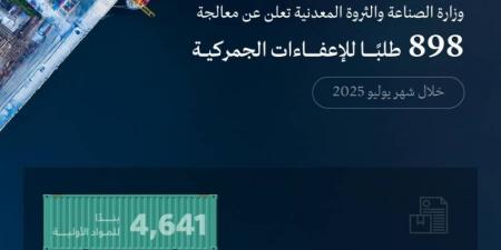 معالجة 900 طلب للإعفاء الجمركي الصناعي - هرم مصر
