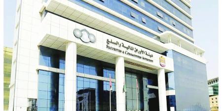 هيئة الأوراق: إحالة 18 مخالفة للنيابة العامة خلال 2024 - هرم مصر