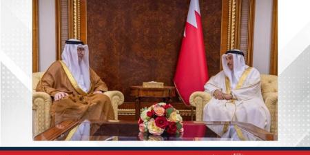 معالي الشيخ خالد بن عبد الله يلتقي السفراء المعينين حديثًا لدى عدد من الدول الصديقة .. ويؤكد: مواصلة توطيد العلاقات مع دول العالم بالاستناد لمنجزات السياسة الخارجية القائمة على الانفتاح والتعاون - هرم مصر