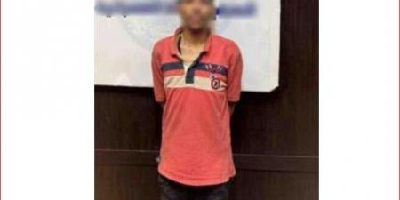 الداخلية تكشف عن ملابسات فيديو سرقة أحد الأشخاص بالمغافلة في الجيزة - هرم مصر