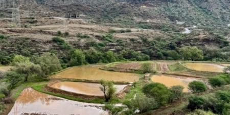 أمطار الباحة تجرف سيارات والسيول تقطع طرقا بنجران - هرم مصر