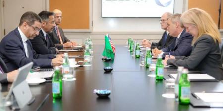 وزير الصناعة يناقش مع شركات أمريكية فرص الاستثمار ونقل التقنية - هرم مصر