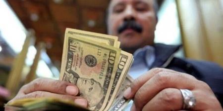 البنك المركزي: 36.5 مليار دولار حصيلة تحويلات المصريين بالخارج خلال عام - هرم مصر