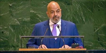 المجموعة الخليجية بالأمم المتحدة تؤكد أهمية إشراك الشباب في بناء السلام ومنع النزاعات - هرم مصر