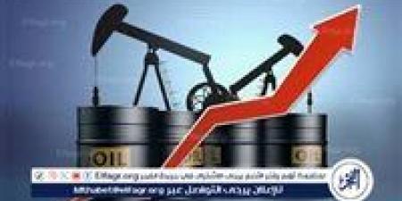 الحكومة: تطوير شامل لشركات التوزيع الوطنية.. واستثمارات جديدة لضمان سلامة وأمان إمدادات الوقود للمواطنين - هرم مصر