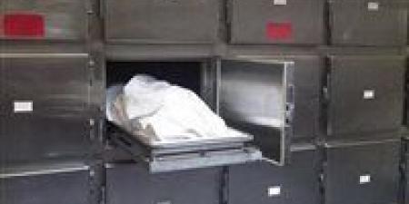 مقتل عامل وإصابة نجله في مشاجرة مع بائعة خضار بمسطرد - هرم مصر