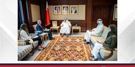 وزير الخارجية يستقبل المدير التنفيذي للمعهد الدولي للدراسات الاستراتيجية في الشرق الأوسط - هرم مصر