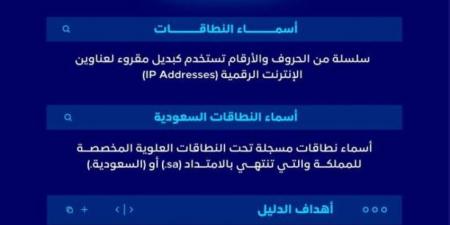 هيئة الاتصالات والفضاء تطلق الدليل الإرشادي للانتقال إلى النطاق السعودي (sa.) - هرم مصر