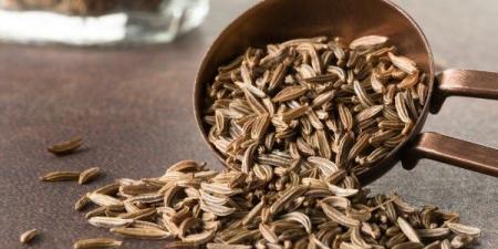 تطرد الغازات والميكروبات .. عشبة رخيصة تطهر الجسم - هرم مصر