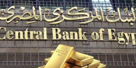6.3 تريليون جنيه أصول و77.5 مليار أرباح.. البنك المركزي يسجل نتائج مالية قوية - هرم مصر