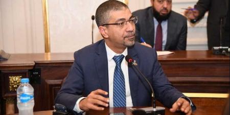 صحة الشيوخ: مصر حصن منيع ومدافع صادق عن قضايا الأمة العربية - هرم مصر