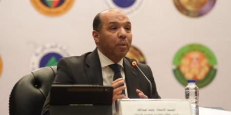 رئيس قطاع الموازنة العامة: التحول الرقمي ساعدنا فى اتخاذ قرارات لحظية سليمة - هرم مصر