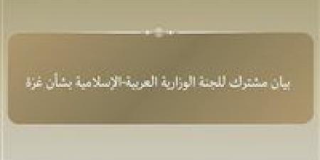 اللجنة الوزارية العربية الإسلامية تصدر بيانا بشأن عدم منح تأشيرات للوفد الفلسطيني - هرم مصر