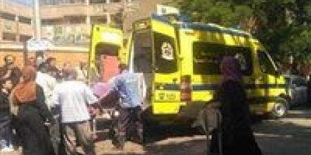 تفاصيل إصابة شقيقين علي يد شخص في مشاجرة لخلاف علي قطعة أرض بالدقهلية - هرم مصر