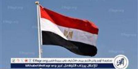 مصر تدين استمرار التوسع العسكري الإسرائيلي في غزة - هرم مصر
