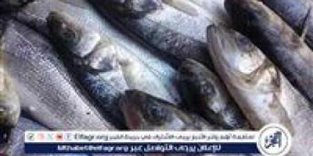 أسعار السمك اليوم الاثنين 1-9-2025 في محافظة قنا - هرم مصر