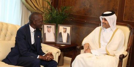 قطر و ناميبيا تبحثان التعاون الثنائي بين البلدين في مجالات النقل و المواصلات - هرم مصر