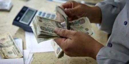 13 نوفمبر نظر طعن المعاشات لتنفيذ حكم صرف العلاوات الخاصة - هرم مصر