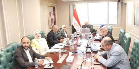 وزير الكهرباء يستعرض مستجدات تنفيذ مشروعات الطاقات الجديدة والمتجددة في إطار الاستراتيجية الوطنية للطاقة - هرم مصر