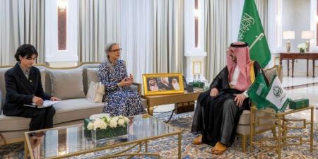 أمير الجوف يبحث مع سفيرة السويد الموضوعات ذات الاهتمام المشترك - هرم مصر