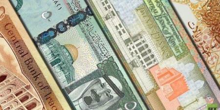 متوسط أسعار العملات العربية في مصر اليوم الأربعاء - هرم مصر