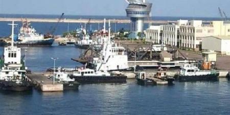 تداول 22 سفينة للحاويات والبضائع العامة بميناء دمياط - هرم مصر