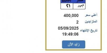 سعرها 400 ألف جنيه.. التزايد على لوحة سيارة مميزة| اعرف الخطوات - هرم مصر