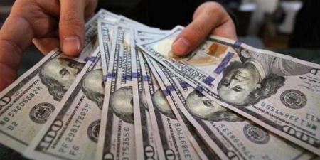 أسعار الدولار في مصر اليوم الجمعة - هرم مصر
