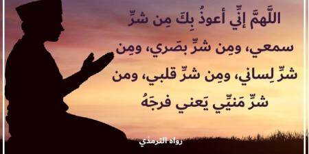 الاستعاذة من شر الجوارح سبيل النجاة في الدنيا والآخرة - هرم مصر