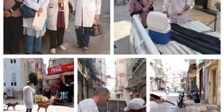 حملات مكثفة بالبحيرة لتحصين الكلاب ضمن مبادرة مصر خالية من السعار - هرم مصر