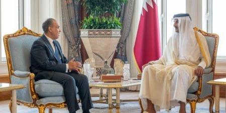 وزير الخارجية ينقل رسالة تضامن ودعم من الرئيس السيسي إلى أمير قطر - هرم مصر