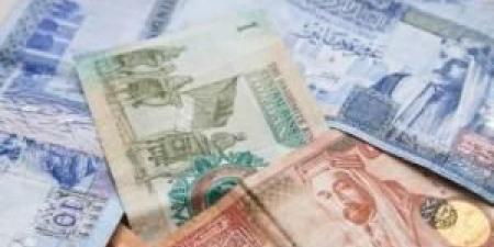 متقاعدون مدنيون يطالبون الحكومة بتطبيق الزيادة السنوية المقرّة بالقانون - هرم مصر