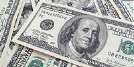الأخضر يستقر.. سعر الدولار مقابل الجنيه المصري اليوم - هرم مصر