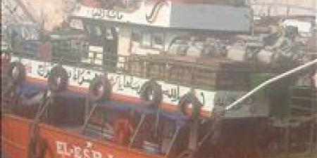 بعد توقف ٤ أشهر.. انطلاق موسم صيد الشانشولا ٢٠٢٥ في خليج السويس - هرم مصر