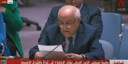 مندوب فلسطين بالأمم المتحدة: التصويت لصالح دولة فلسطين يعني قابلية تطبيق حل الدولتين - هرم مصر