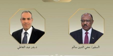 وزير الخارجية يقدم التهنئة لنظيره السوداني بعد توليه منصبه الجديد - هرم مصر